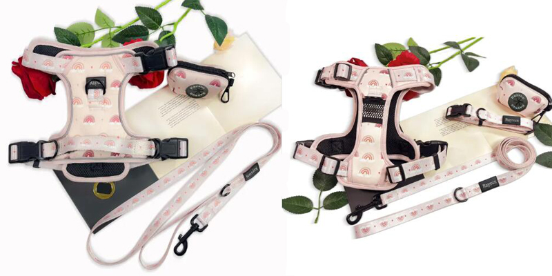 A separate dog harness and a coiled leash side-by-side