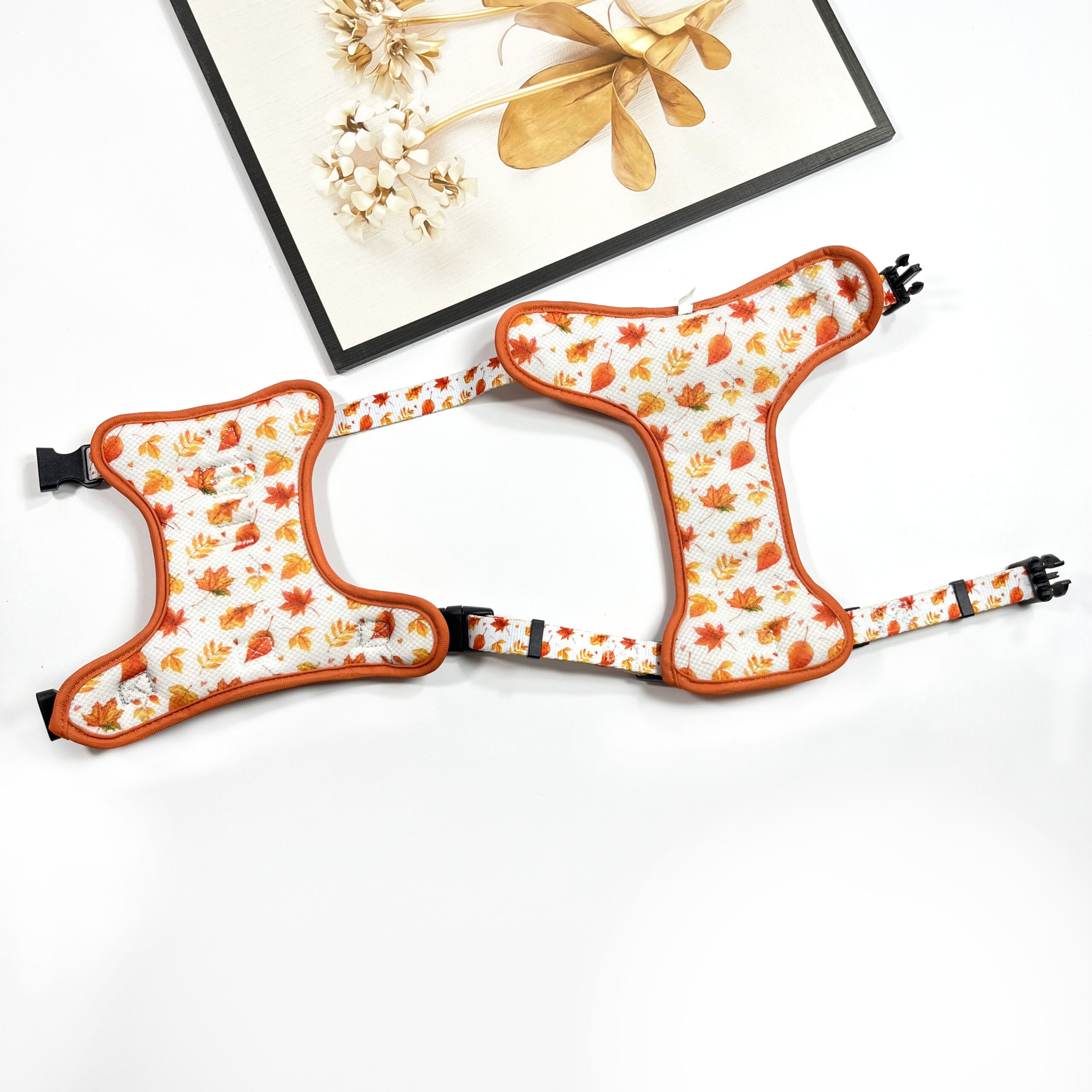 close-up shot of nylon webbing and neoprene padding on a dog harness