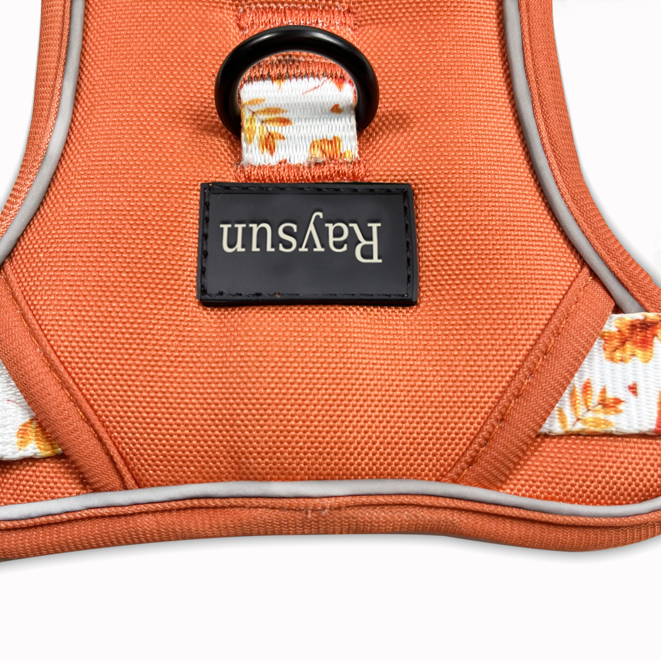 close-up of a metal D-ring and a plastic buckle on a dog harness