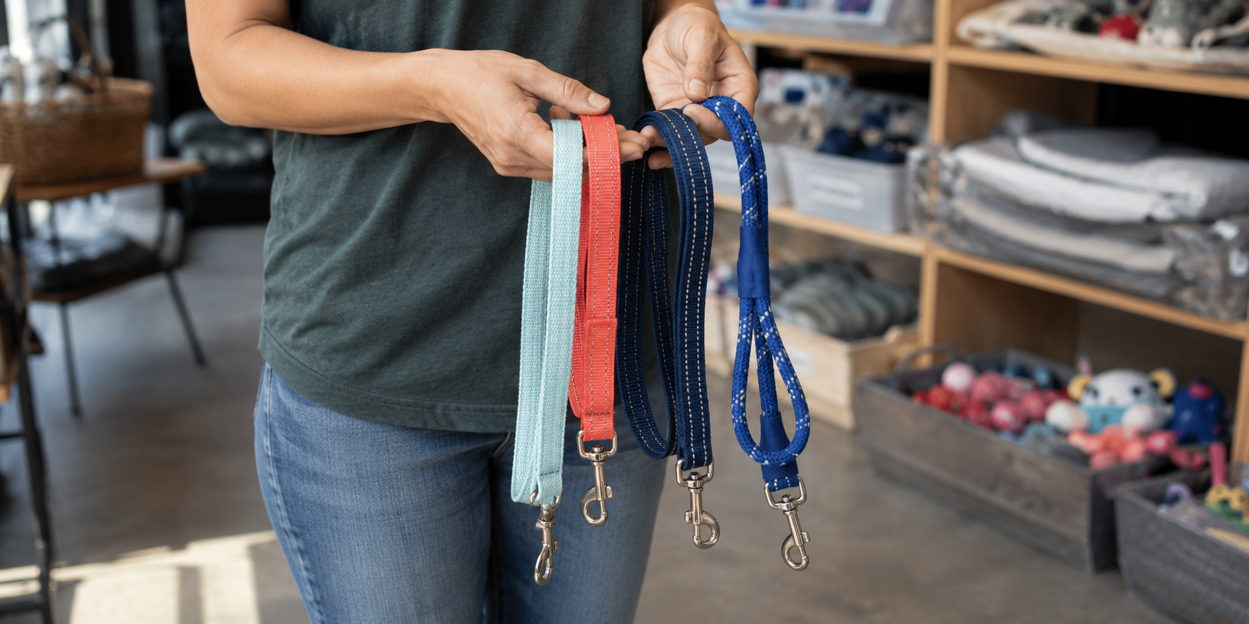A person holding a variety of puppy leashes of different sizes and colors