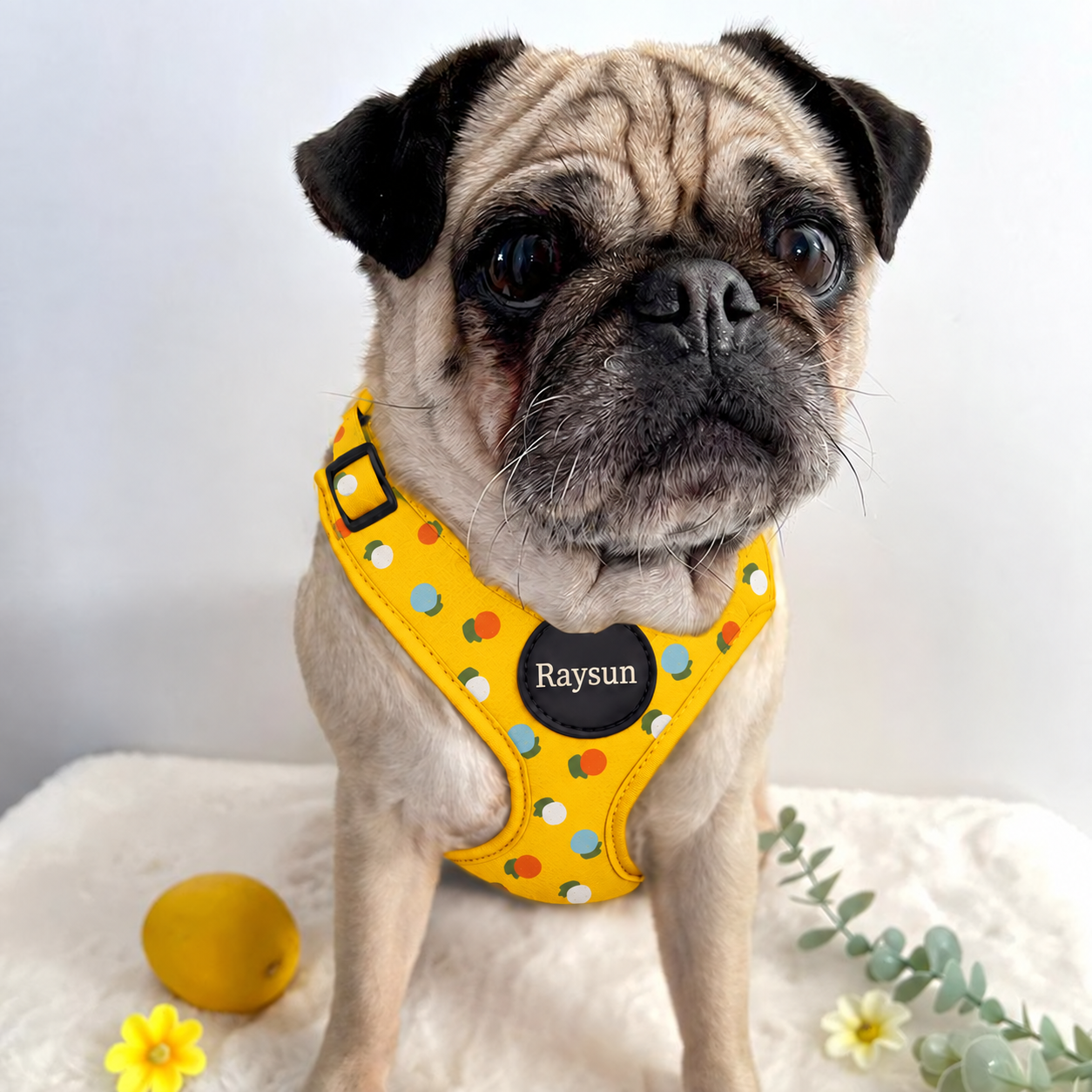A collection of different styles of dog harnesses from Chinese manufacturers