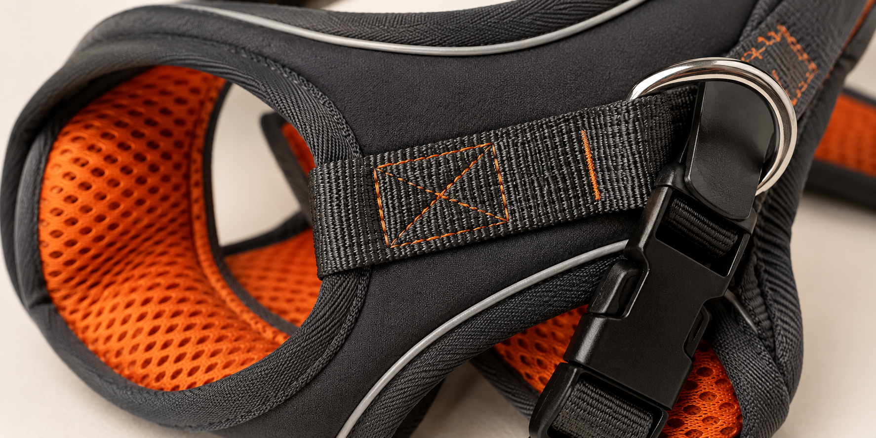 Close-up of a dog harness showing material and stitching detail