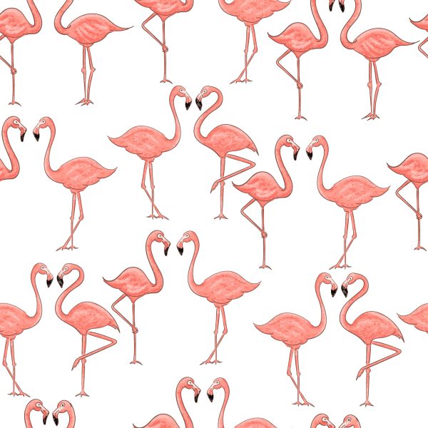 Cartoon pink flamingo seamless pattern on white background. Vector summer design